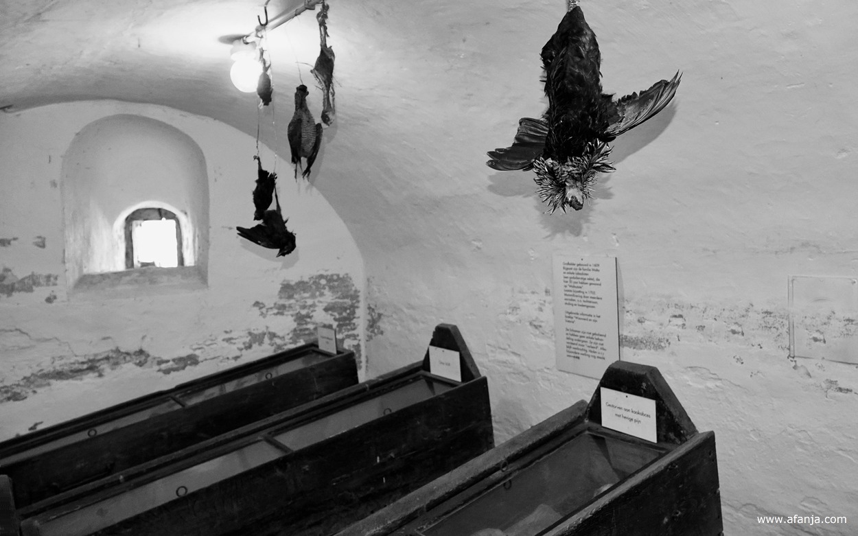 behalve menselijke mummies hangen er ook vogels in de grafkelder