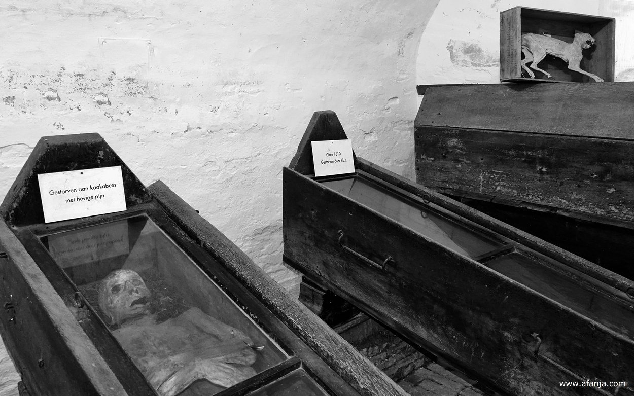 twee kisten met mummies en een gemummificeerde kat - in de kisten onder de kat liggen de resten van de mummies die de kelder ooit hebben verlaten voor onderzoek elders