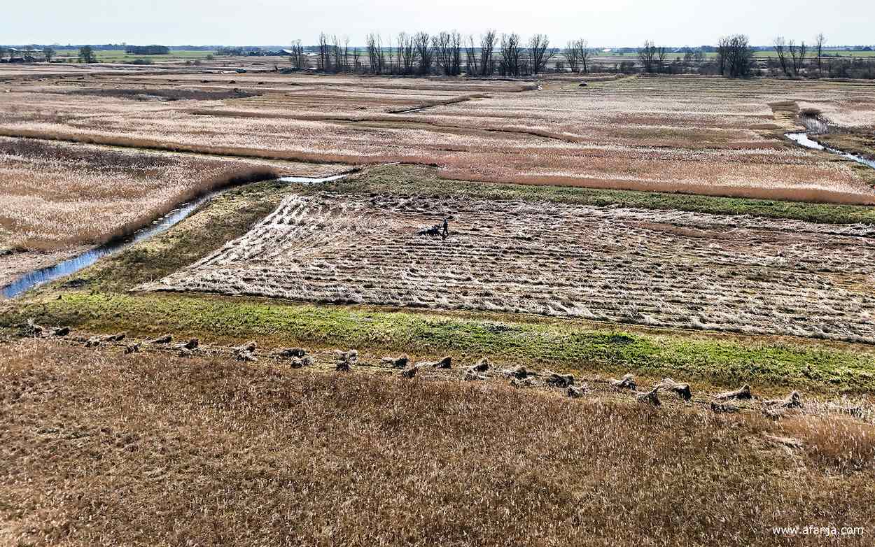 centraal in beeld wordt een perceel rietland gemaaid met een lage opbrengst, dat riet zal niet worden verkocht