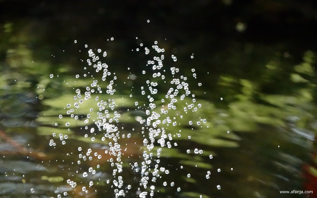 waterdruppels uit het fonteintje in de vijver