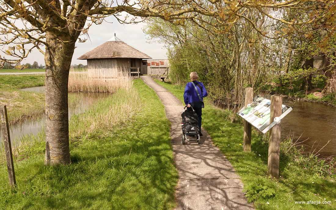 fotomaatje Jetske loopt naar de vogelkijkhut 'Skrok'