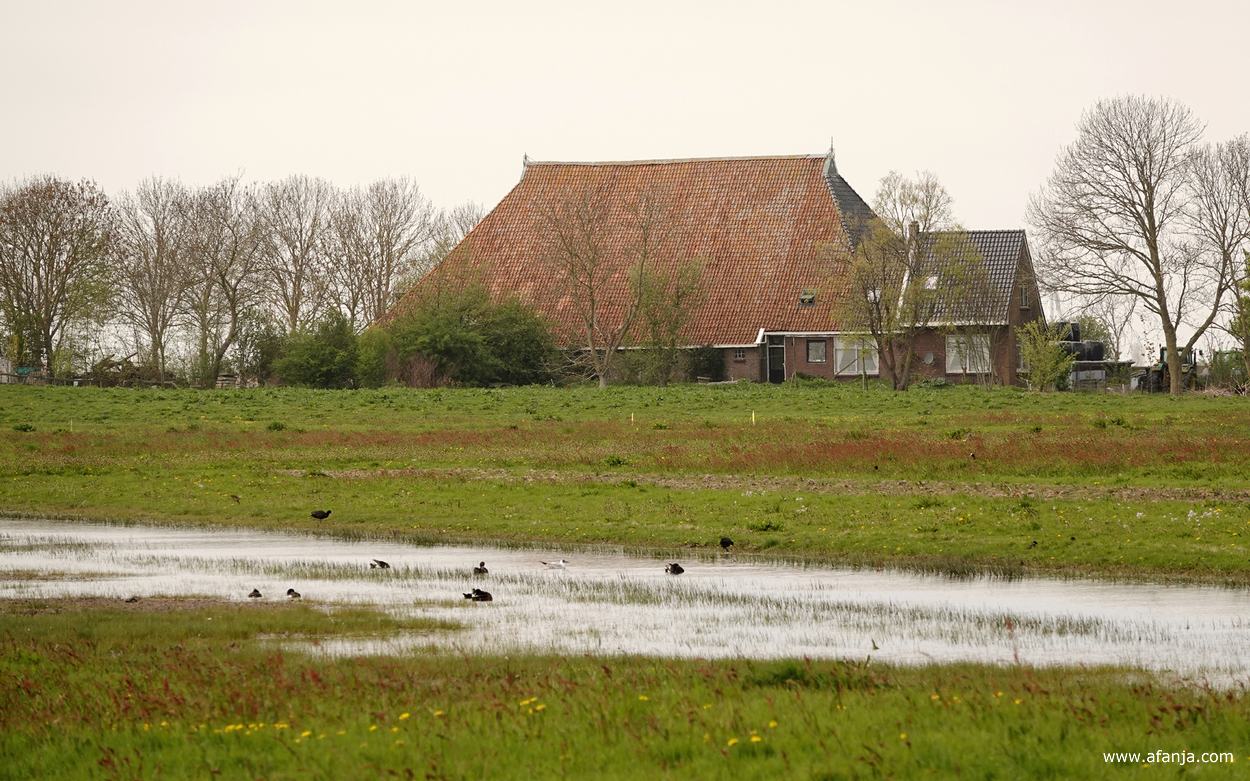 de boerderij van boer Bote bij Tjerkwerd
