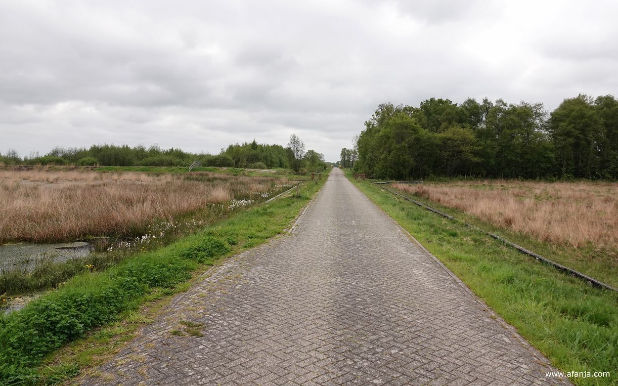 in het Fochteloërveen