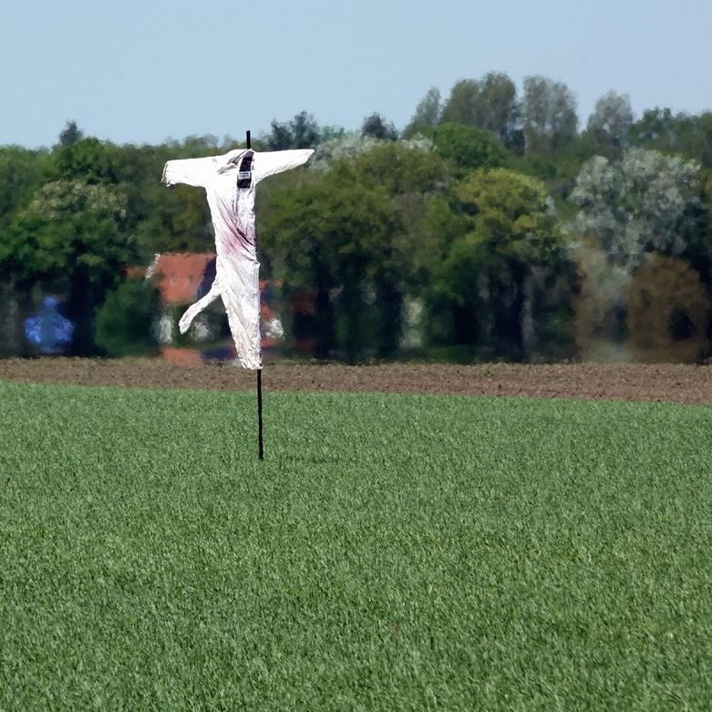 een wit pak zonder man in het veld