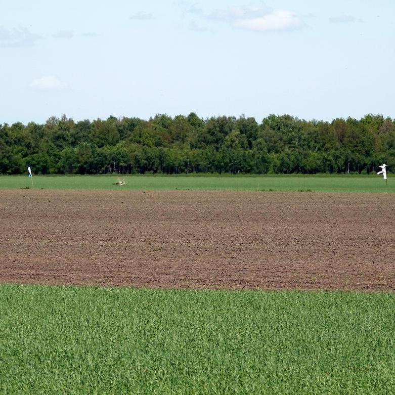 witte pakken zonder mannen in het veld