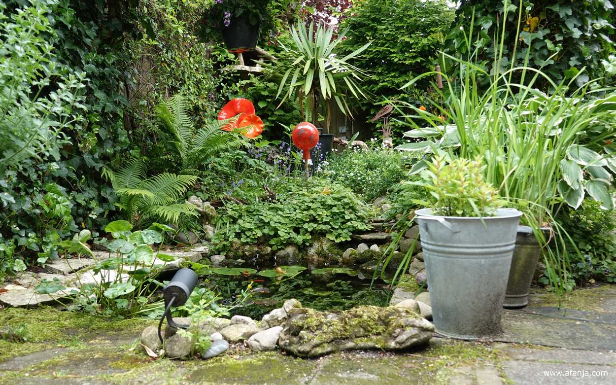 in de tuin