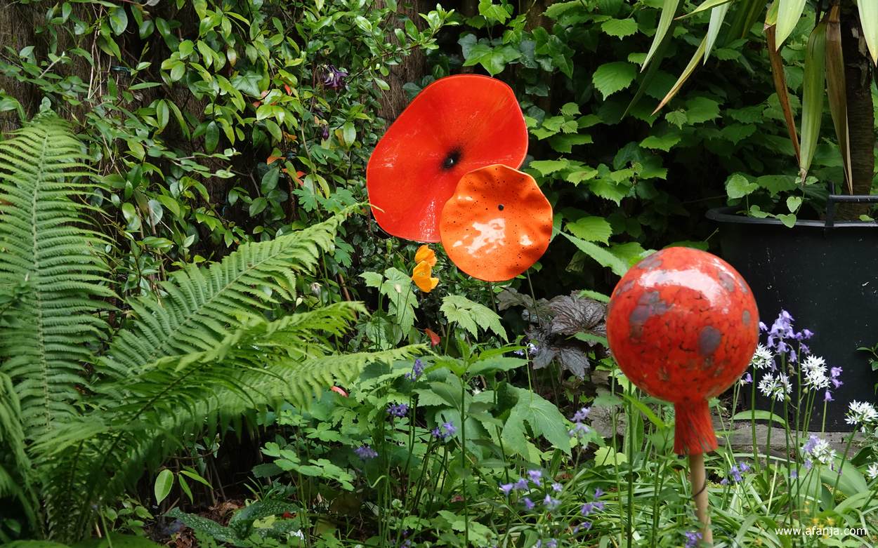 een fleurig hoekje in de tuin