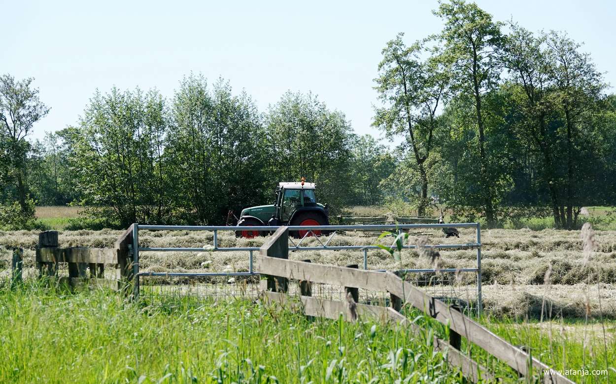 aan de andere kant van het hek is een boer aan het hooien