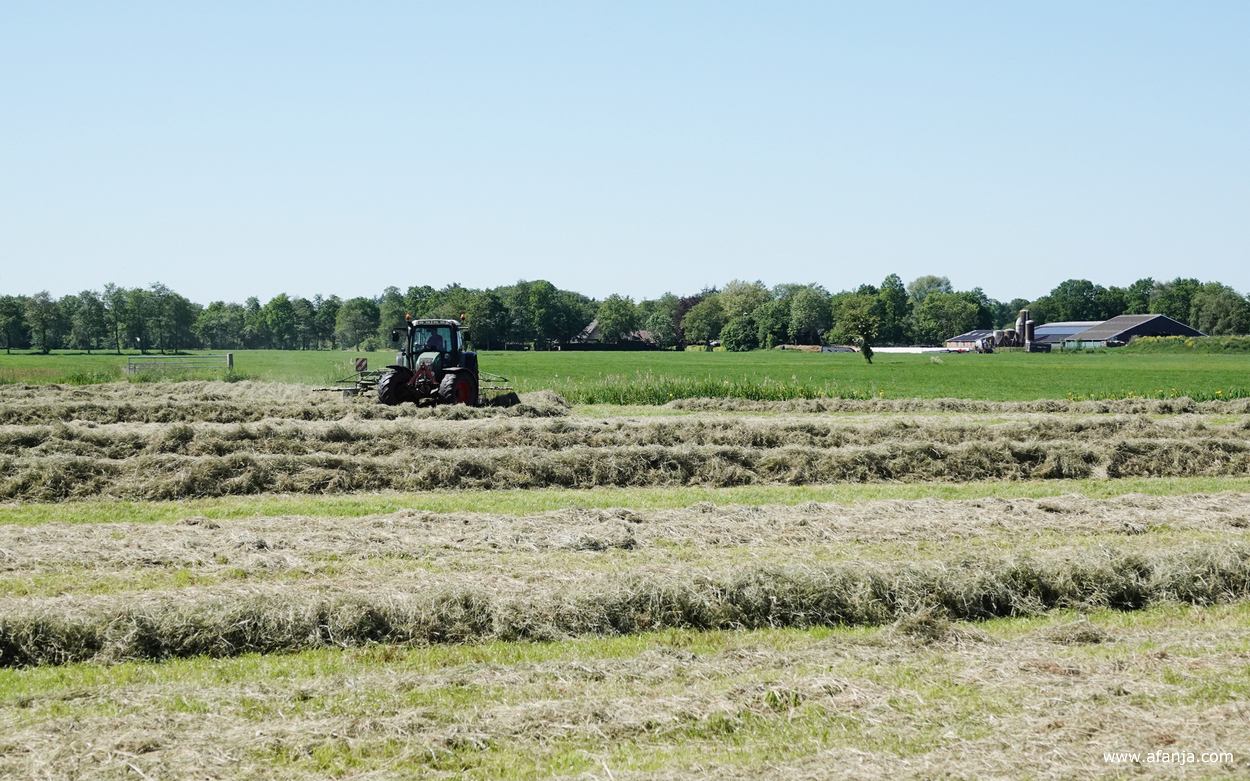 een boer is aan het hooien