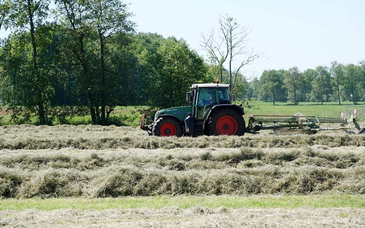 een boer is aan het hooien