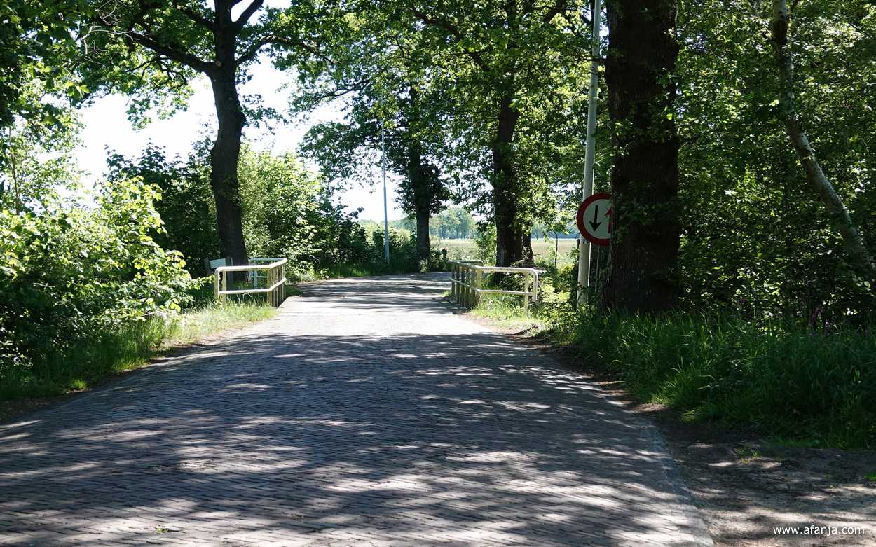 het bruggetje over It Alddjip