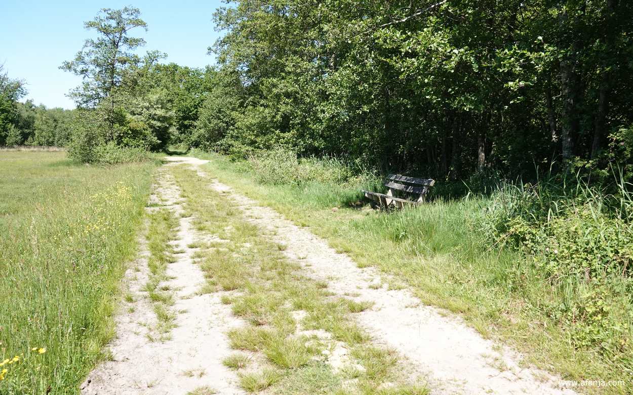 het eerste compensatie-bankje aan het zuid-noord pad
