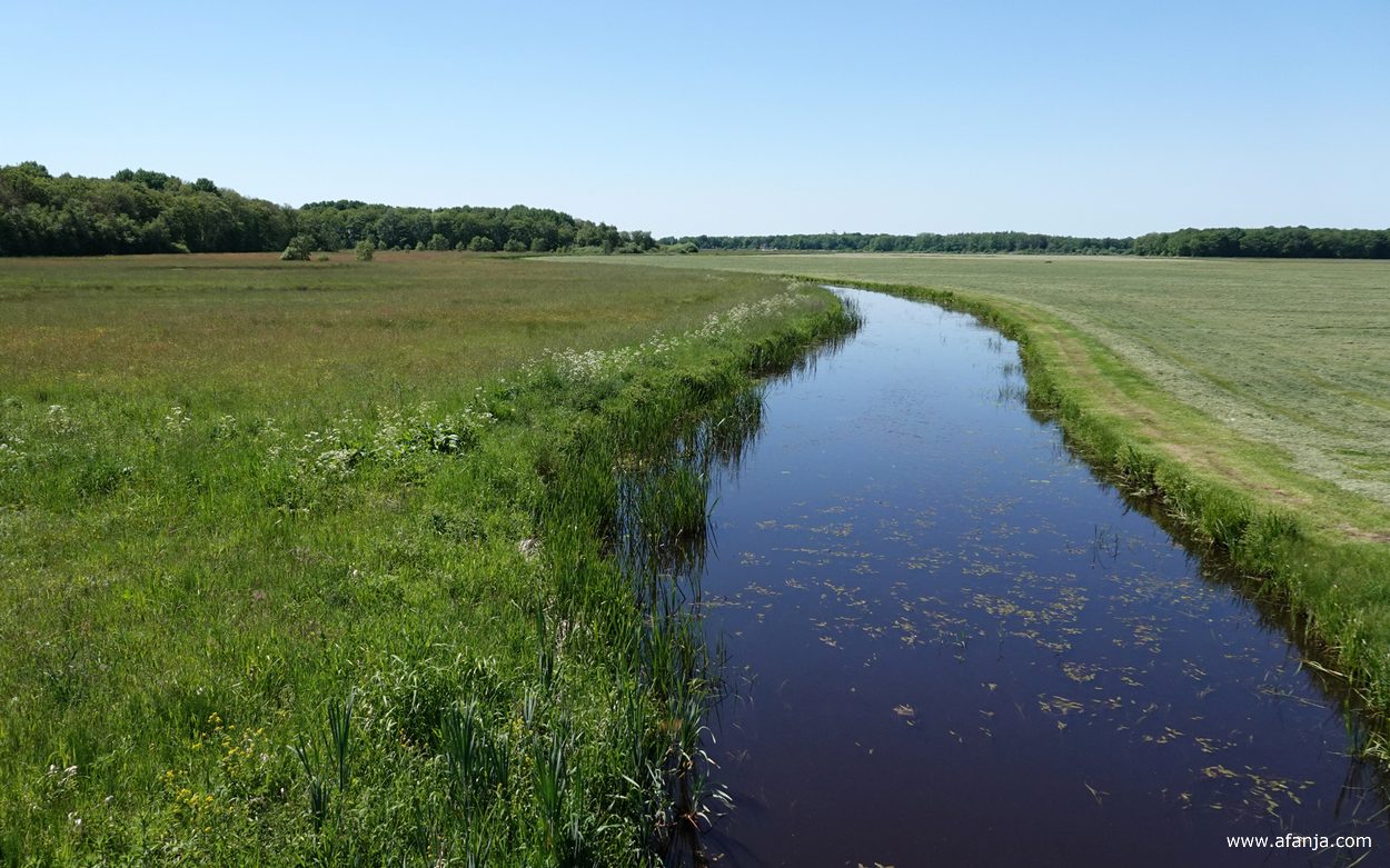 uitzicht over het Alddjip of Koningsdiep in westelijke richting