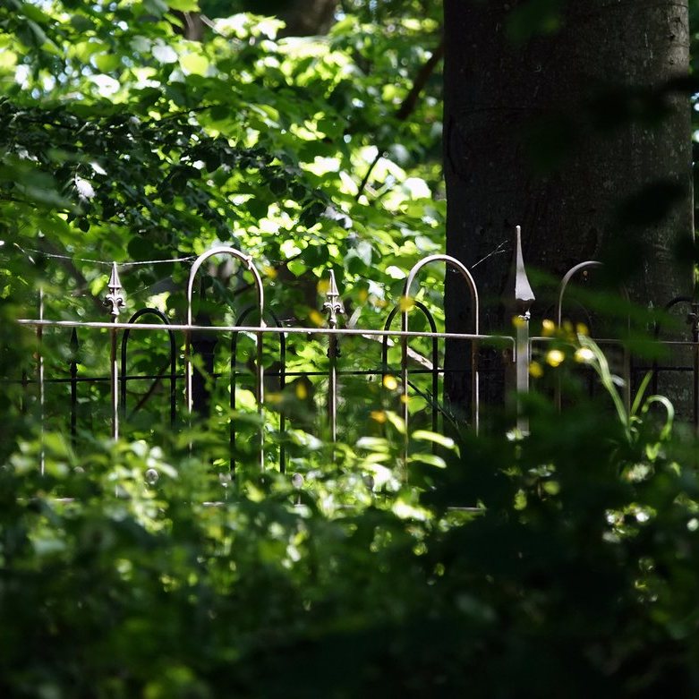 een sierlijk tussen bomen en struiken