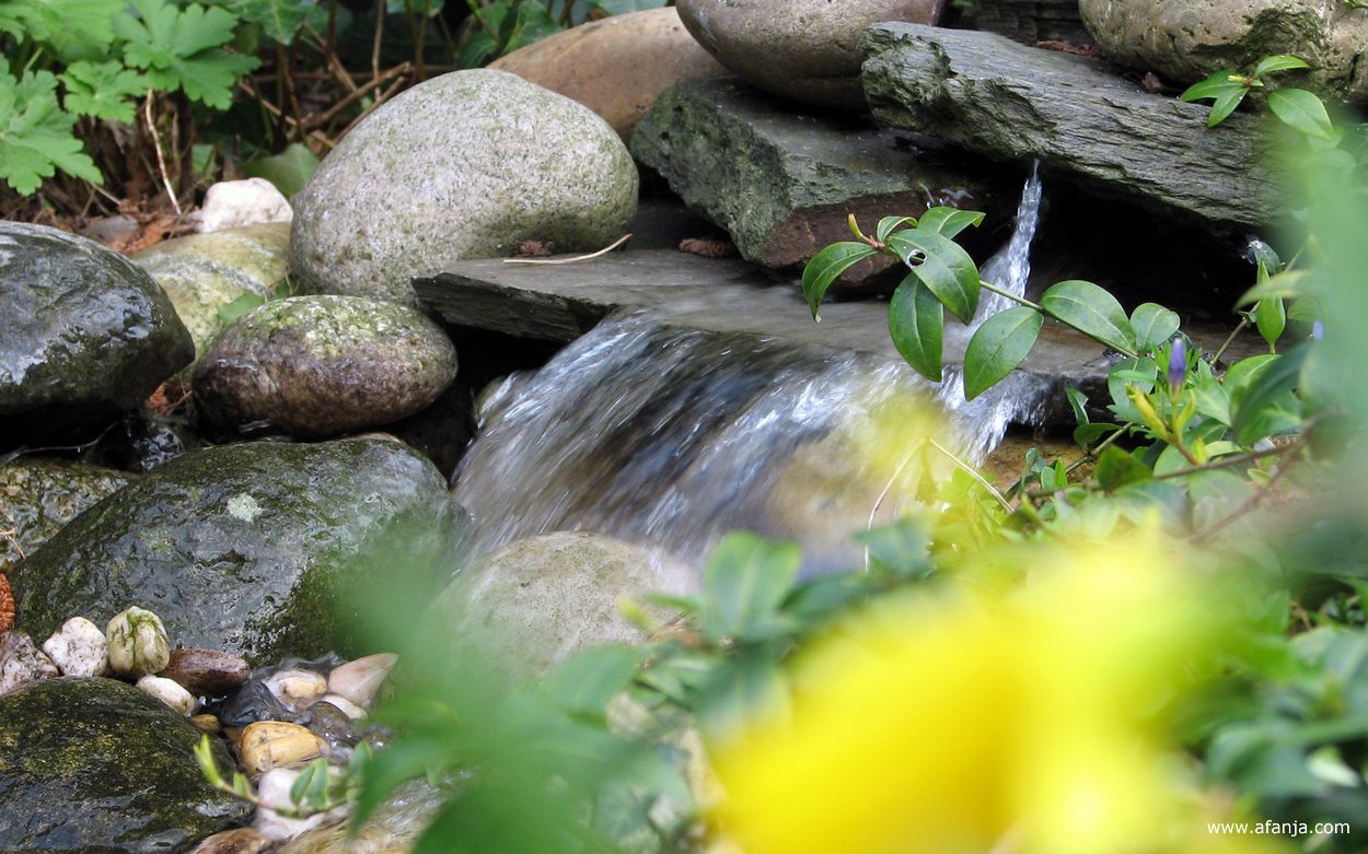 stromend water in de tuin
