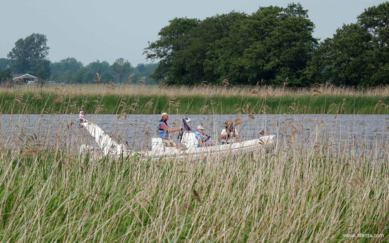 een boot van de wedstrijd opent het defilé