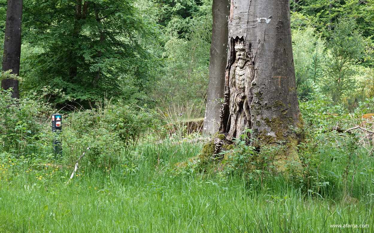Kening Redbad staat bij Heidehuizen in het bos