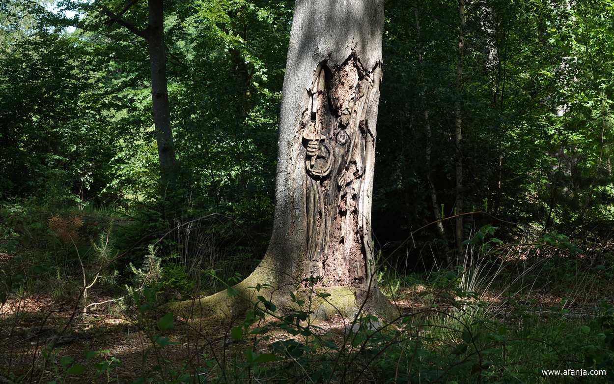 de tand des tijds slaat toe bij de boombeelden