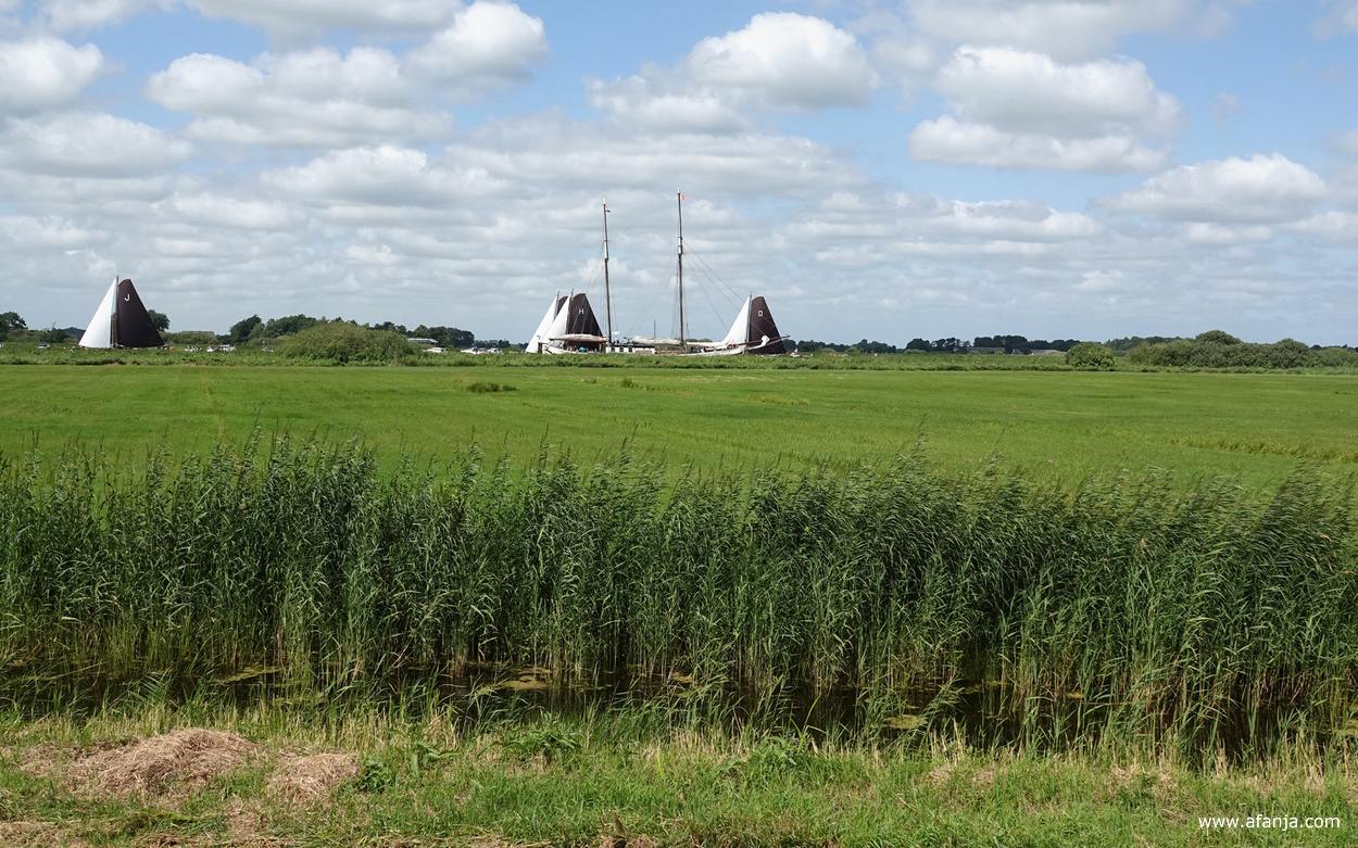 skûtsjesilen bij De Veenhoop